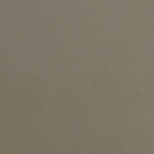 Đá nhân tạo Vicostone BS100