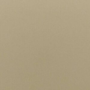 Đá nhân tạo Vicostone BS160