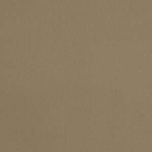 Đá nhân tạo Vicostone BS170