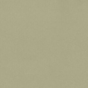 Đá nhân tạo Vicostone BS181