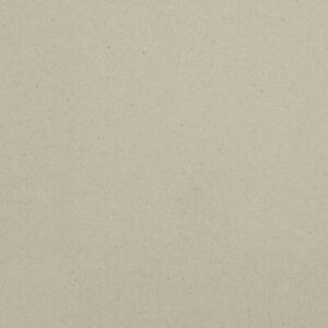 Đá nhân tạo Vicostone BS320