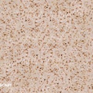 MG3952 Palazzo Foscari