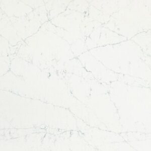 MG9666 Unique Venatino