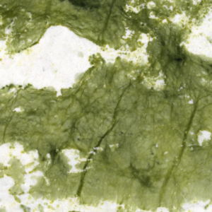 Đá Marble Verde Giada