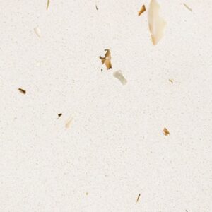 Vicostone White Shells BQ370